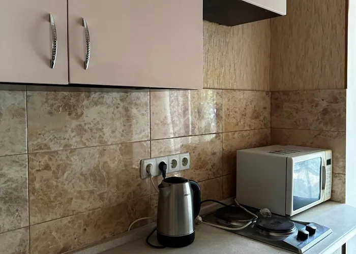 French In דירה *